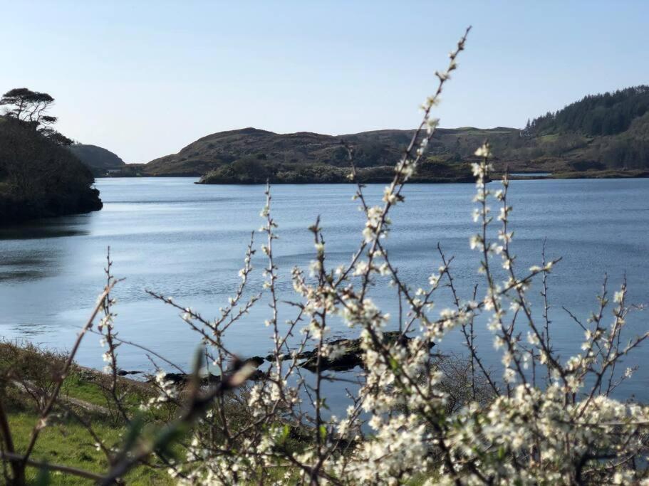 Lough Hyne Cottage Skibbereen Bagian luar foto